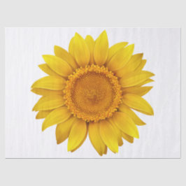 Elegant Modern Floral Tissuepapier