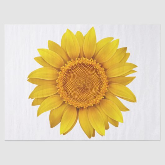 Elegant Modern Floral Tissuepapier (Voorkant)