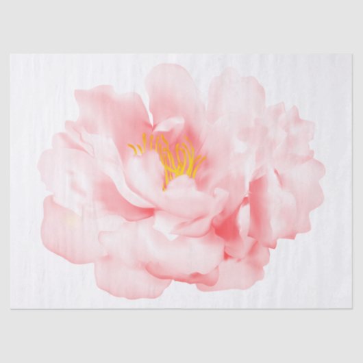 Elegant Modern Floral Tissuepapier (Voorkant)