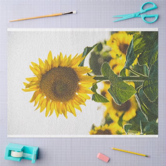 Elegant Modern Floral Tissuepapier (Craft)