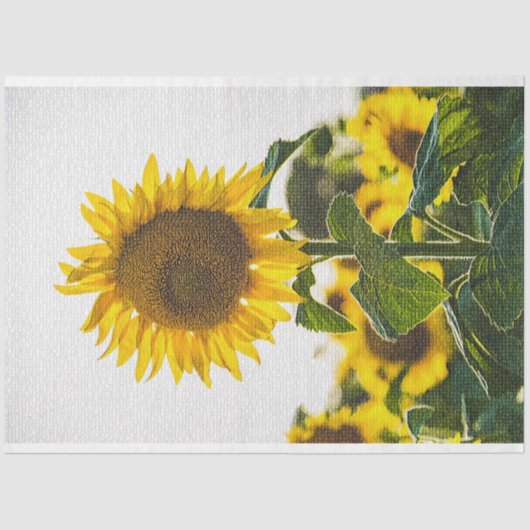 Elegant Modern Floral Tissuepapier (Voorkant)