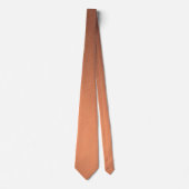 Elegant Modern Glossy Stropdas (Voorkant)