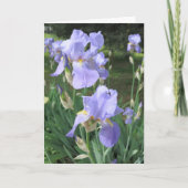 Elegant Modern Paarse Iris Flowers Foto krijgt een Kaart (Voorkant)