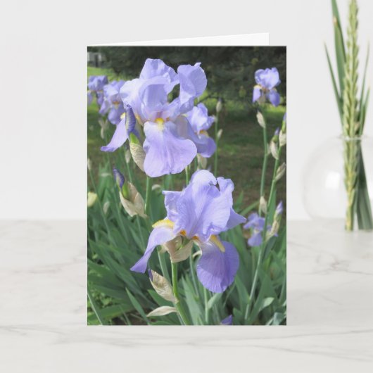 Elegant Modern Paarse Iris Flowers Foto krijgt een Kaart (Voorkant)
