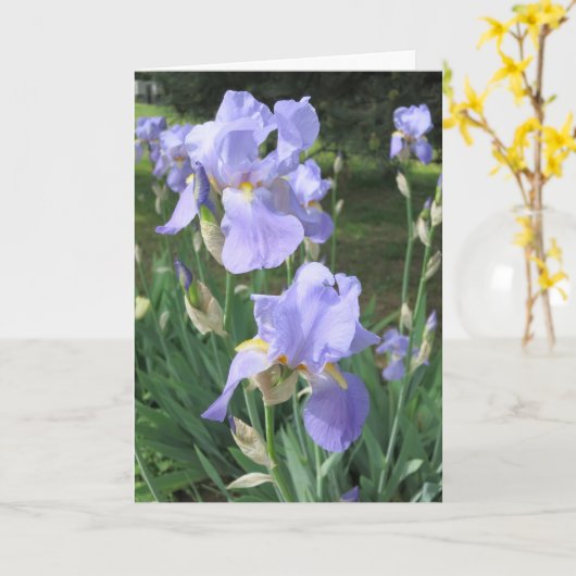 Elegant Modern Paarse Iris Flowers Foto krijgt een Kaart (Gele Bloem)