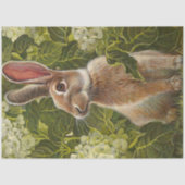 Elegant modern paaspapier Tissuepapier (Voorkant)