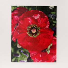 Elegant Modern Photo California Red Poppy Flower Legpuzzel