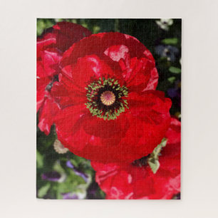 Elegant Modern Photo California Red Poppy Flower Legpuzzel