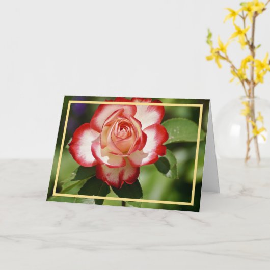 Elegant Modern Red White Rose Flower Golden Lijst Kaart (Gele Bloem)