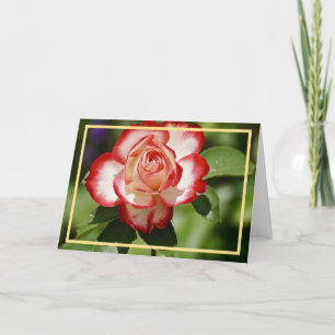 Elegant Modern Red White Rose Flower Golden Lijst Kaart