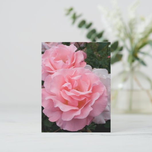 Elegant Modern Roze Rozen Briefkaart (Staand voorkant)