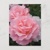 Elegant Modern Roze Rozen Briefkaart (Voorkant)
