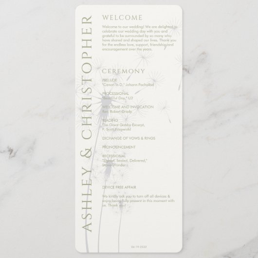 Elegant Modern Sage Green Wedding Programmakaart (Voorkant)