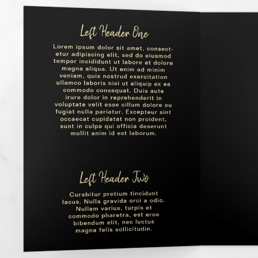 Elegant Modern Salon Black Gold Trifold Brochure Drieluik Kaart (Binnenzijde eerst)