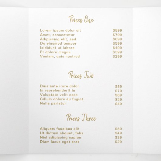 Elegant modern Simple Salon Gold-drievoudig brochu Drieluik Kaart (Binnenkant midden)