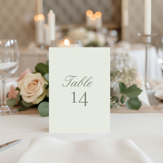Elegant Modern Wedding Table Number Card Kaart
