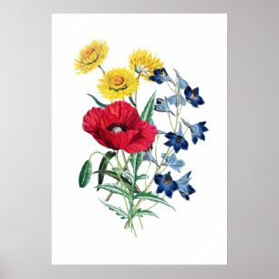 Elegant Modern  Wildbloemen Poppy Daisy Poster