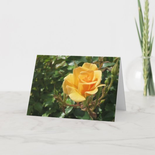 Elegant Modern Yellow Rose Flower Photo Sympathie Kaart (Voorkant)