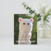 Elegant Moderne Eenvoudige persoonlijke foto Briefkaart (Staand voorkant)