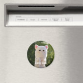 Elegant Moderne Eenvoudige persoonlijke foto Magneet (Insitu (Vaatwasser))