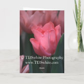 Elegant-Moederdag kaart (Achterkant)