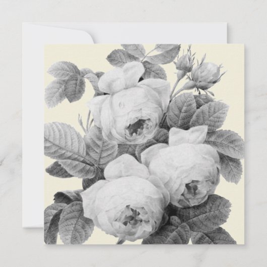 Elegant monochroom  Franse Rozen (Achterkant)