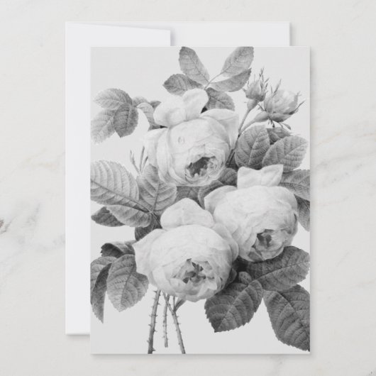 Elegant monochroom Franse  Rozen Kaart (Achterkant)