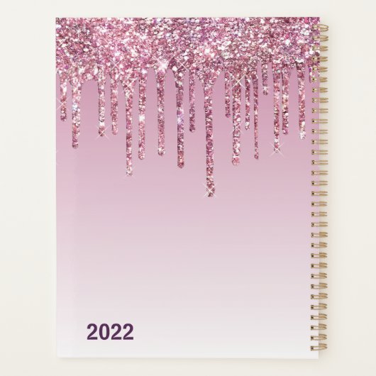 Elegant monogram Roos Glitter Drivers Planner (Achterkant)