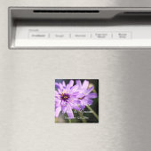 Elegant, mooie paarse mais, bespaart de datum magneet (Insitu (Vaatwasser))