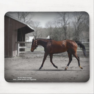 Elegant Mousepad Muismat