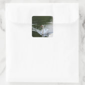 Elegant Mute Swan Vierkante Sticker (Tas)