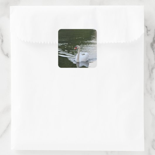 Elegant Mute Swan Vierkante Sticker (Tas)