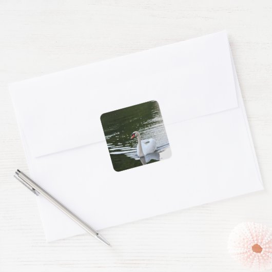 Elegant Mute Swan Vierkante Sticker (Envelop)