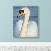 Elegant Mute Swan Waterbird op het meer Canvas Afdruk (Insitu (Houten vloer))