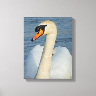 Elegant Mute Swan Waterbird op het meer Canvas Afdruk