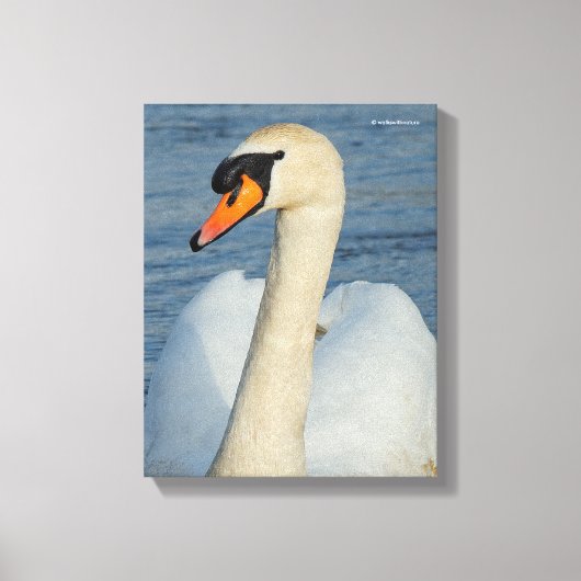 Elegant Mute Swan Waterbird op het meer Canvas Afdruk (Voorkant)