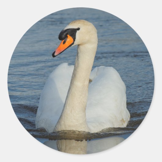 Elegant Mute Swan Waterbird op het meer Ronde Sticker (Voorkant)