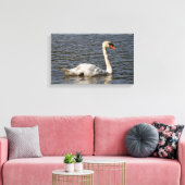 Elegant Mute Swans in Stanley Park Lagoon Canvas Afdruk (Insitu (Woonkamer))