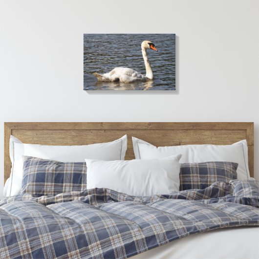 Elegant Mute Swans in Stanley Park Lagoon Canvas Afdruk (Insitu (Slaapkamer))