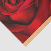 Elegant  Muziek Rood Rozenpapier Tissuepapier (Detail)