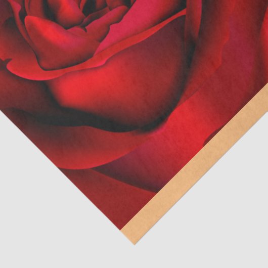 Elegant  Muziek Rood Rozenpapier Tissuepapier (Detail)