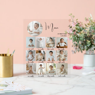 Elegant My First Year Collage Custom Photo Acryl Bord