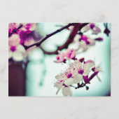 ELEGANT NAAM met KERSENBLOESEM Cadeaubon (Achterkant)