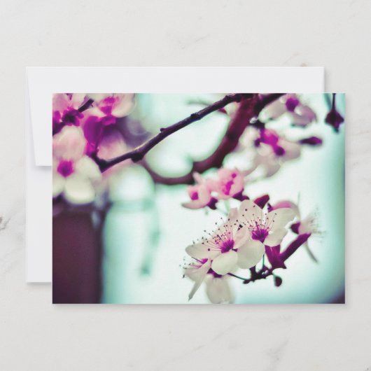 ELEGANT NAAM met KERSENBLOESEM Cadeaubon (Achterkant)