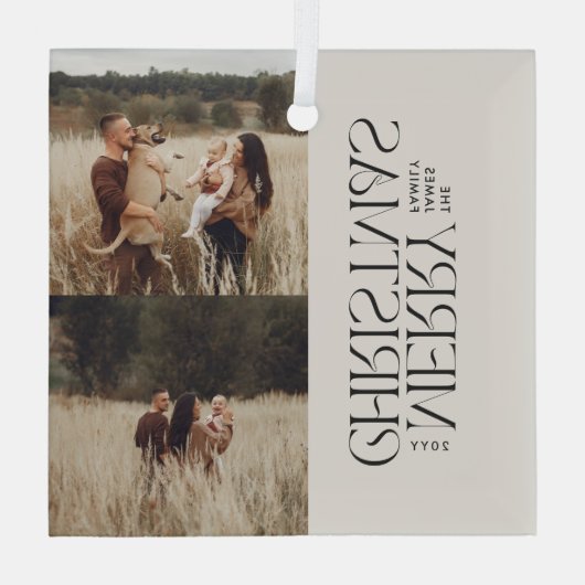 Elegant natuurlijk gebladerte moderne minimale mul glas ornament (Achterkant)