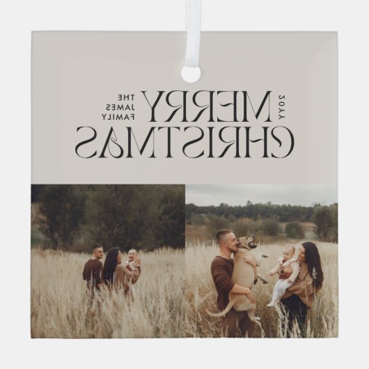 Elegant natuurlijk gebladerte moderne minimale mul glas ornament (Achterkant)