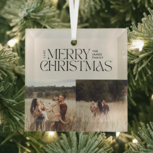 Elegant natuurlijk gebladerte moderne minimale mul glas ornament