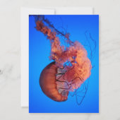 Elegant Navy Jellyfish Nautical Coastal Wedding Kaart (Achterkant)