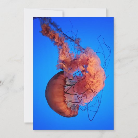 Elegant Navy Jellyfish Nautical Coastal Wedding Kaart (Achterkant)