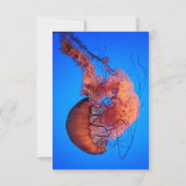 Elegant Navy Jellyfish Nautical Coastal Wedding RSVP Kaartje (Achterkant)